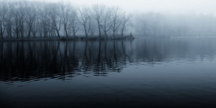 1280x800 Foggy Lake And Forest Wallpaper | 1280x800 | ID:48927