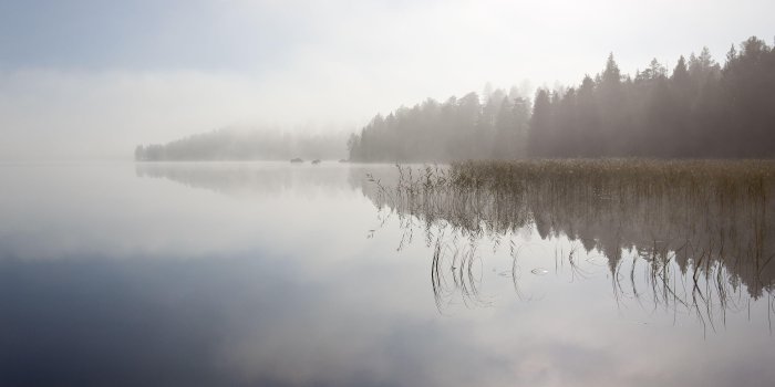 3840x2160 HD Forest reflecting in the foggy lake Wallpaper | Download Free
