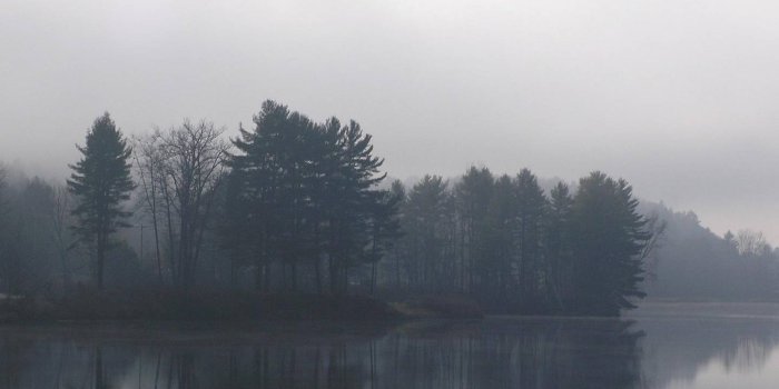 1440x1280 Foggy Lake wallpaper by drherdman1 - a9 - Free on ZEDGE™