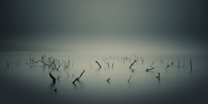 2560x1600 Foggy Lake Wallpapers HD / Desktop and Mobile Backgrounds