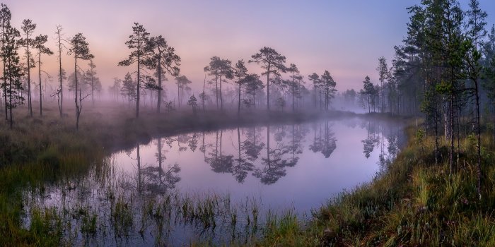 2100x1253 Foggy Lake Wallpapers