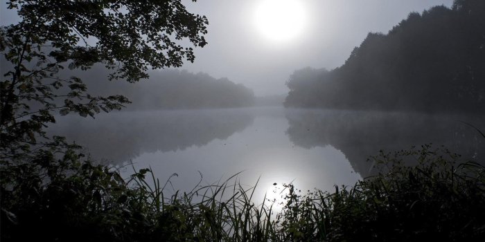 1920x1080 Mysterious foggy lake wallpapers | Freshwallpapers