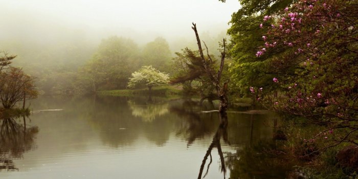 1920x1200 Foggy Wallpaper (71+ images)