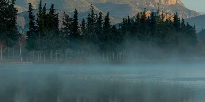 2143x3000 Download 2143x3000 Foggy Lake, Forest, Trees, Mountain Wallpapers