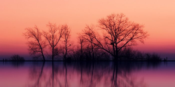 2560x1600 Foggy Lake Susnet Wallpaper | 2560x1600 | ID:36624