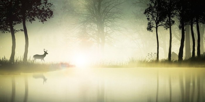1680x1050 Deer At The Foggy Lake Wallpapers Artistic Wallpapers Desktop