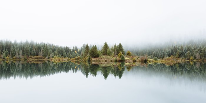 5664x3186 Landscape photo of foggy lake with trees HD wallpaper | Wallpaper