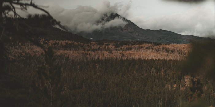 3840x2160 Aerial view over a foggy lake HD Wallpaper 4K Ultra HD - HD