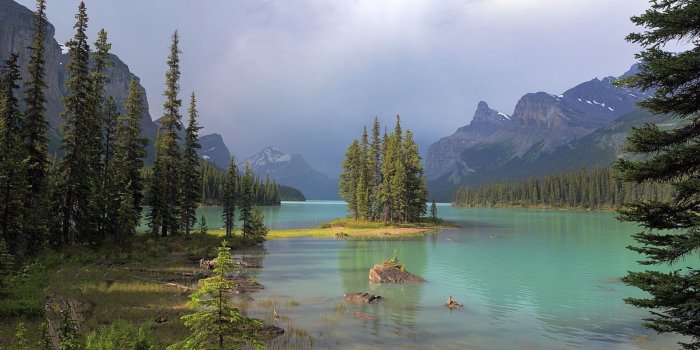 1920x1080 69+ Foggy Forest