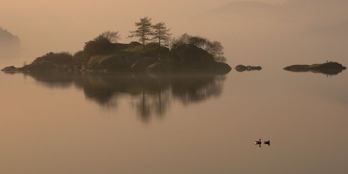 2560x1600 Foggy lake wallpaper - Nature wallpapers - #33991