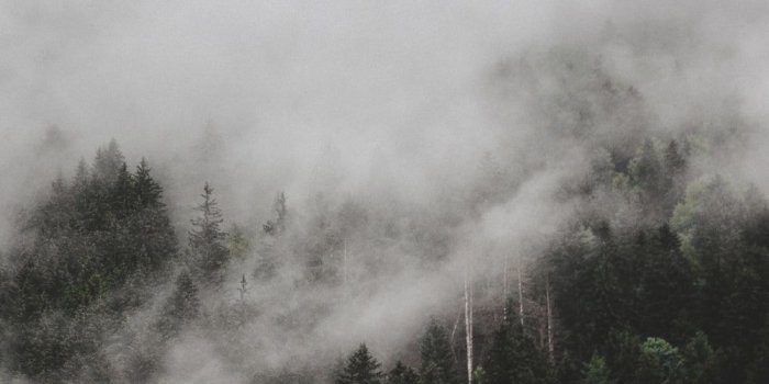 1000x1500 Foggy Pictures | Download Free Images on Unsplash