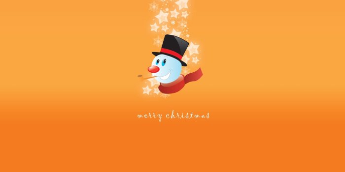 1920x1200 44+] Christmas Penguin Wallpaper on WallpaperSafari