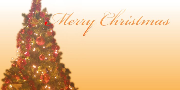 1920x1200 Christmas tree Wallpaper