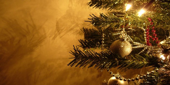 1600x1000 Christmas Wallpaper HD 8458 1600x1000px