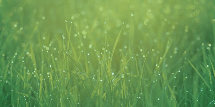 2048x2048 Stock iPad 