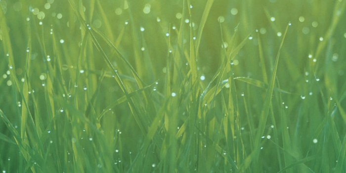 744x1392 Download iOS 7 Wallpapers - iPhoneHeat