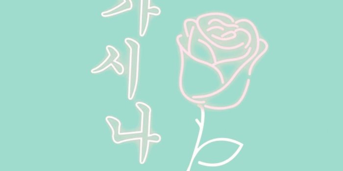 1242x2208 Gashina mint iPhone wallpaper | Colourful wallpaper iphone, Mint