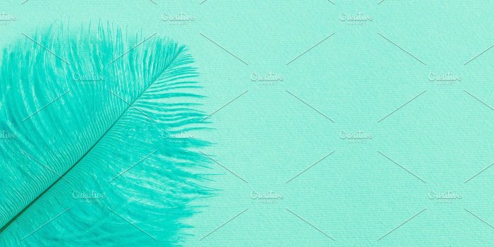 1820x1214 Background with mint green feather | High-Quality Abstract Stock