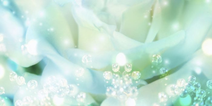 1600x1200 floral #wedding, background for your Virtual Wedding Album by http