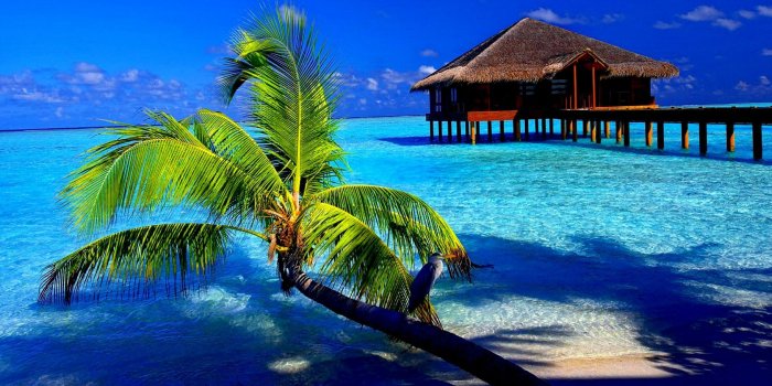 1920x1080 Tropical Wallpapers - Top Free Tropical Backgrounds - WallpaperAccess