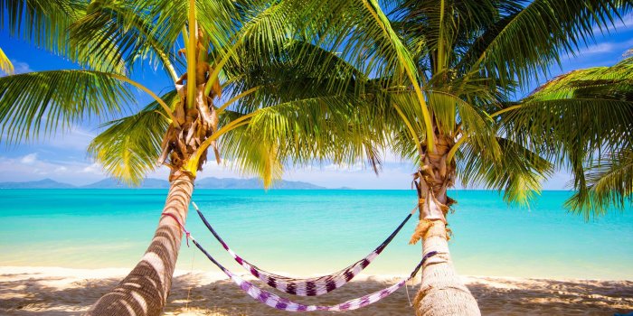 3840x2400 Tropical Beach Hammock Ultra HD Desktop Background Wallpaper for