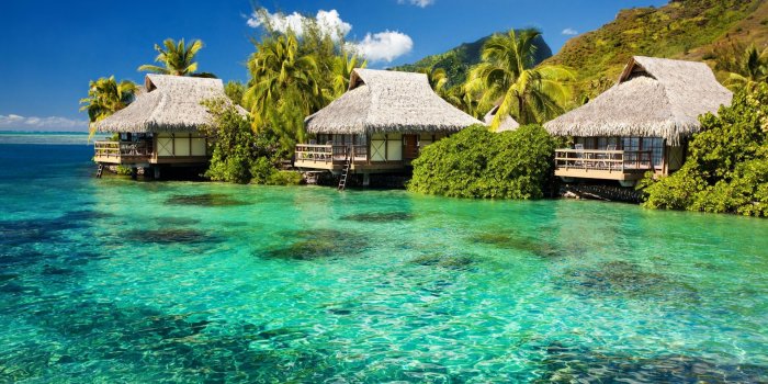 1920x1200 HD Tropical wallpaper | 1920x1200 | #15469