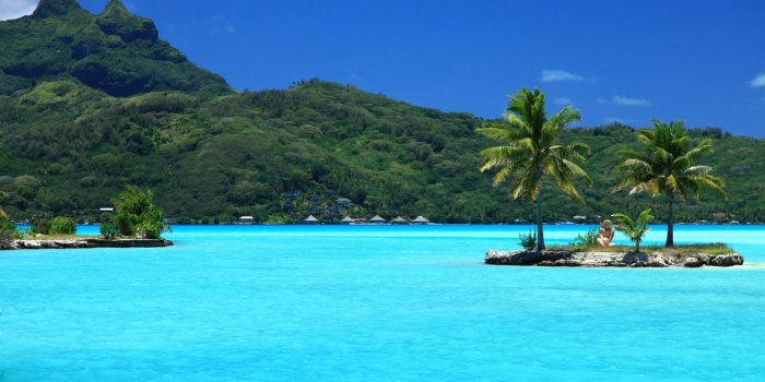 1366x768 Download wallpaper 1366x768 tropical, island, palm trees tablet