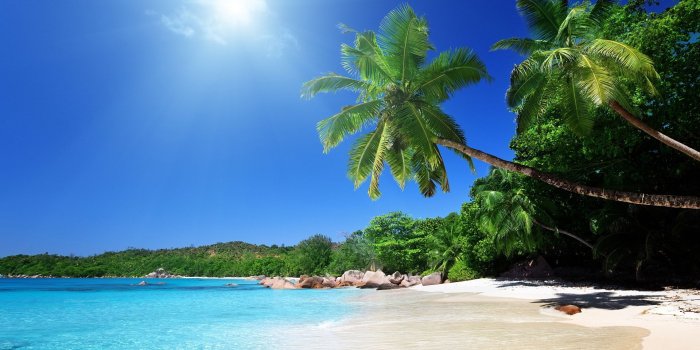 1920x1080 Download wallpaper 1920x1080 beach, sand, palm trees, tropical