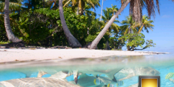 1080x1920 Amazon.com: Tropical Ocean Wallpaper HD Free: Appstore for Android