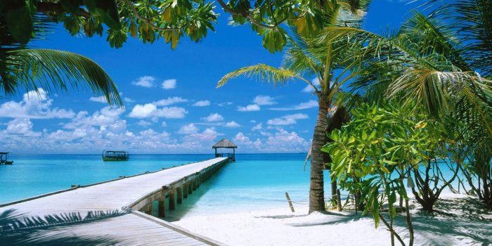 1600x900 Blast of Wallpapers: tropical wallpaper 1