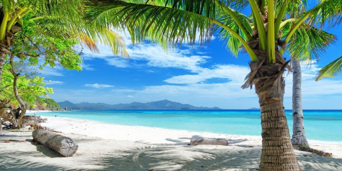 2560x1600 Download Tropical Wallpapers Full HD Desktop Background