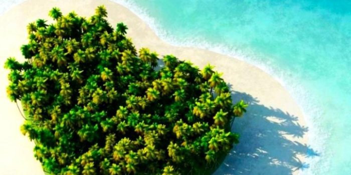 720x1280 Tropical wallpaper HD for Android - APK Download