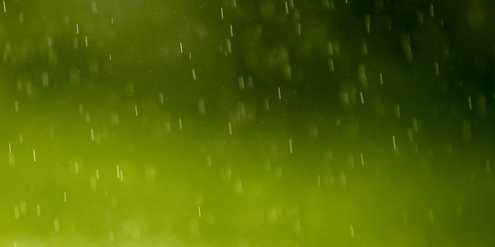 1024x1024 Free download Pouring Rain iPad Wallpaper Retina iPad wallpaper