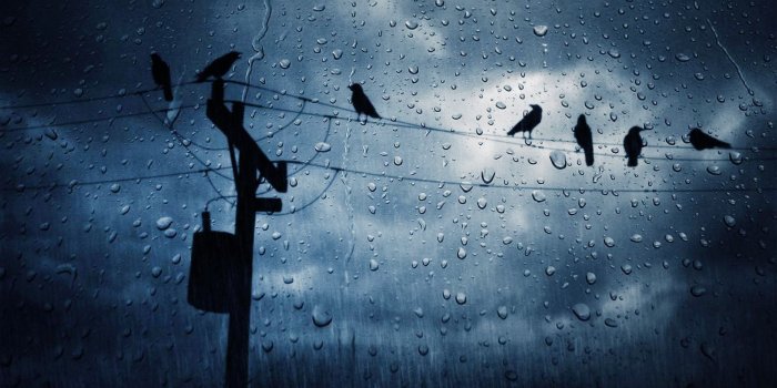 1920x1080 40+] Rain Storm Wallpaper on WallpaperSafari