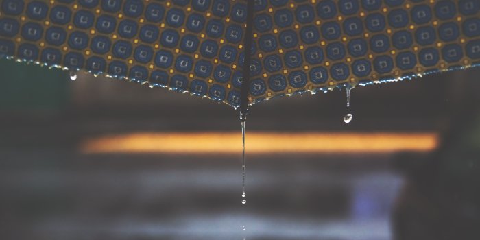 5865x3910 Pouring Rain Pictures | Download Free Images on Unsplash