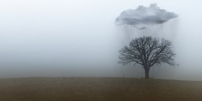 1920x1080 Withered tree below clouds pouring rain illustration, rain, clouds