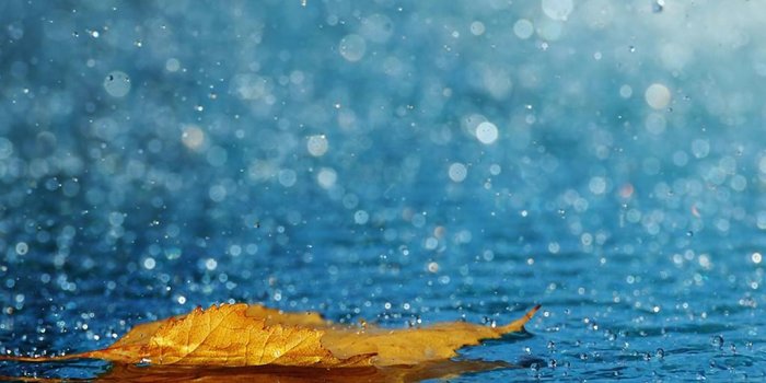 1024x768 47+] Live Wallpaper Rain on WallpaperSafari