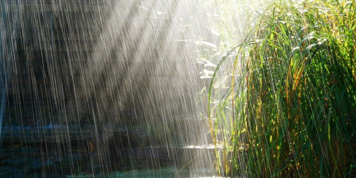 1920x1080 Heavy Rain in Sunny Weather #4249042, 1920x1080 | All For Desktop