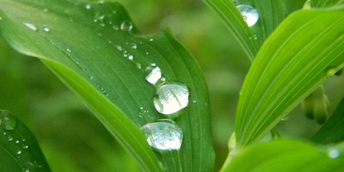 4000x3000 High Resolution Rain Drops Hd - 4000x3000 Wallpaper - Ecopetit.cat