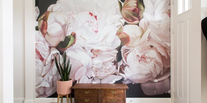 5568x3712 Not For Shrinking Violets: Where to Buy Big, Beautiful, Dramatic