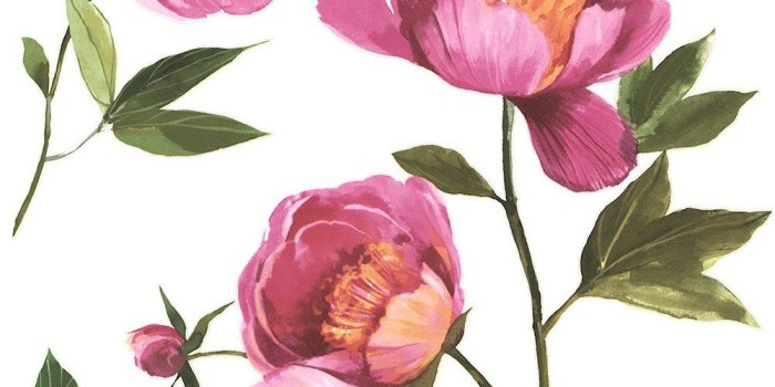 1000x1000 Grandeco Florence Pink Wallpaper A41201 - Large Flower Bold Floral