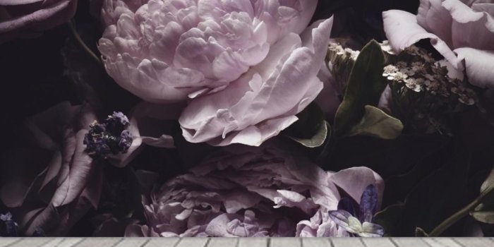 1588x1354 Bright Purple Peonies Wallpaper Mural, Dark Floral Removable