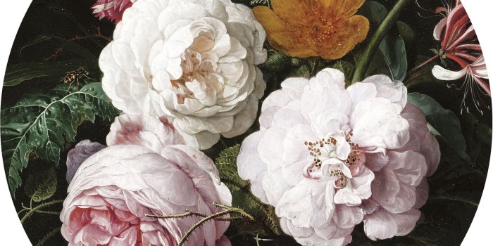 2048x2048 KEK Amsterdam Golden Age Flowers wallpaper circle XL - LIVING AND CO.