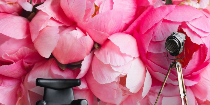 1500x1200 Wallpaper,Flowers,Peony,photo,Vinyl,Self Adhesive,peony,pattern,design