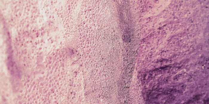 1400x2100 Purple and pastel pink wall texture | Royalty free illustration