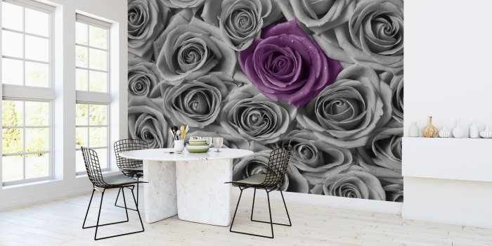 2000x850 Roses - Purple and Grey – popular wall mural – Photowall