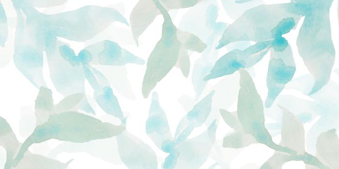 3000x2000 Green and Blue Watercolour leaves free desktop wallpaper download