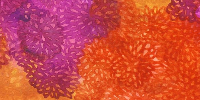 1200x675 Watercolor Mums Desktop Wallpaper—Free Download
