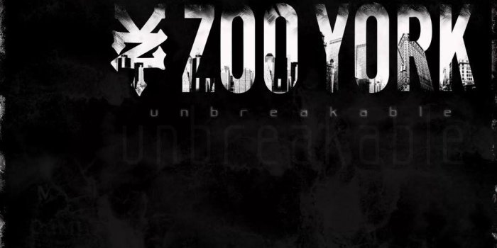 1024x768 Zoo York Wallpapers