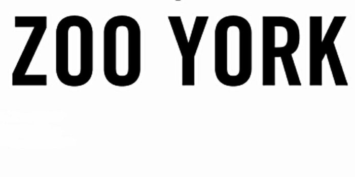 1107x1965 Zoo York Wallpapers